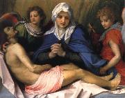 Andrea del Sarto Lamentation of Christ Spain oil painting artist